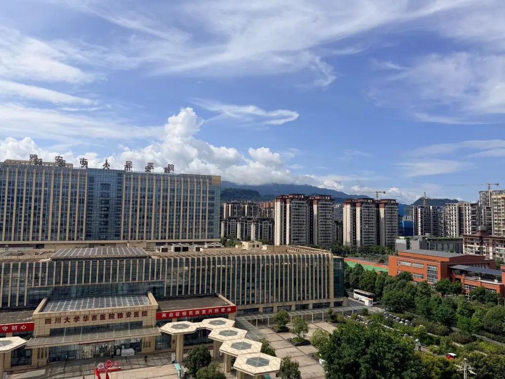 智慧教室音频系统升级方案：吊麦与音频处理器的协同配置要点