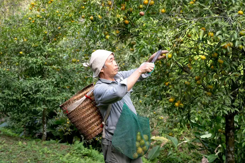 2024年录播主机与吊麦搭配方案：提升学校课堂音视频录制质量的技术解析