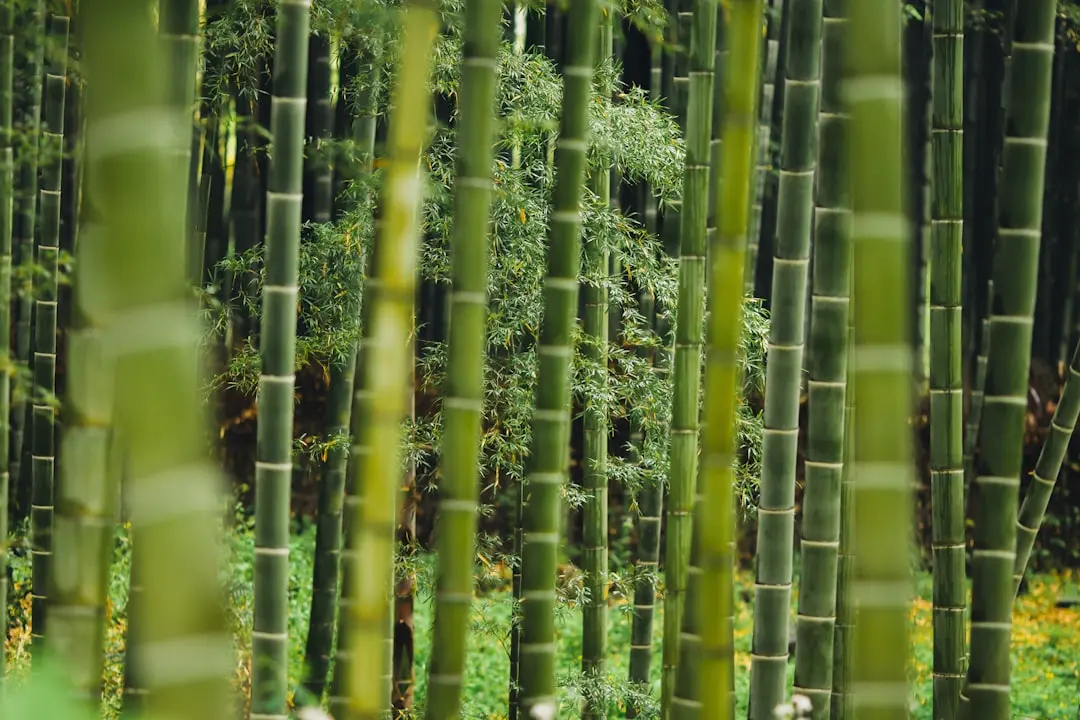 上海多媒体讲台与电子白板一体化教学方案设计